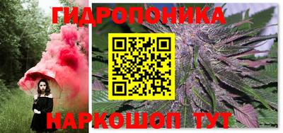 спайс Кинель