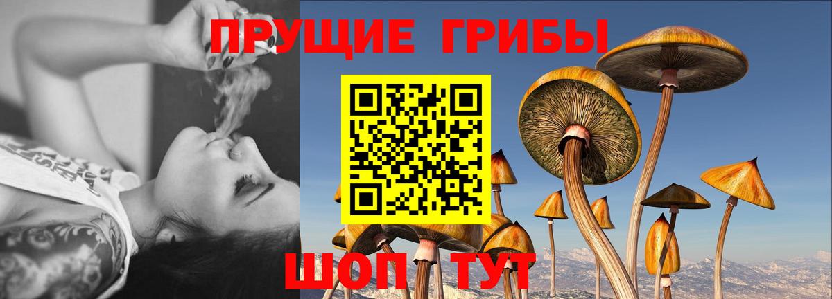 Псилоцибиновые грибы Magic Shrooms Янаул