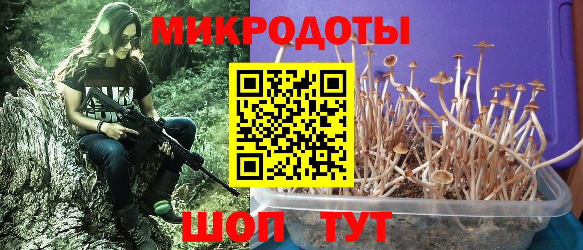 Псилоцибиновые грибы прущие грибы  Вход с VPN  Янаул 